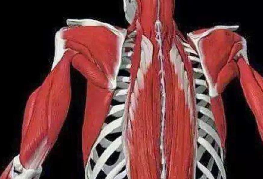 当妈妈腰疼怎么办,八个月腰疼怎么缓解