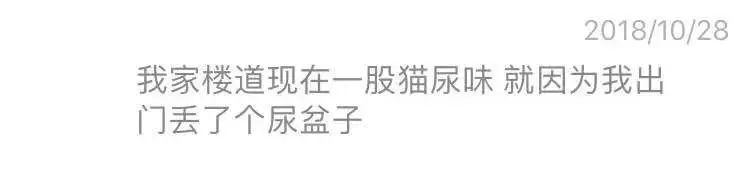 猫咪乱吃药怎么救,猫咪乱尿解决神器