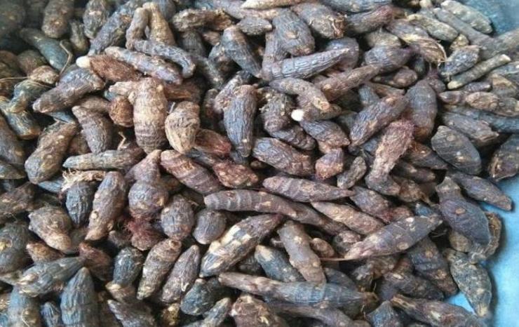 农村野外常见的尖叶恶性杂草,农田里常见的这种杂草