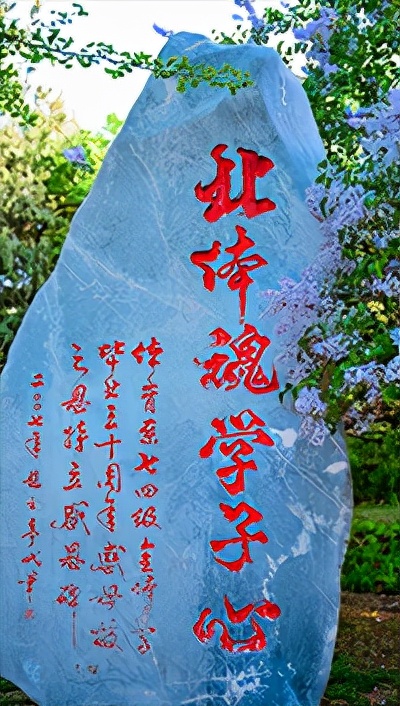 那些你没见过的运动会入场式,全运会最值得看的项目