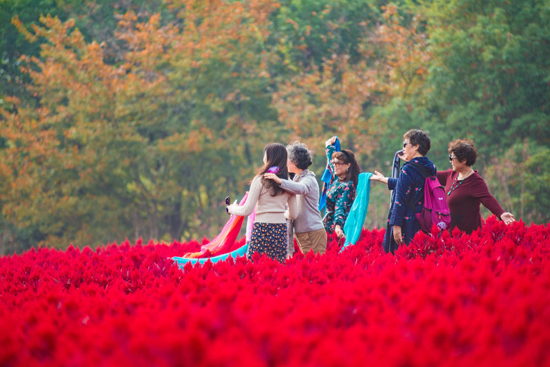 常州周边最新一日游景点推荐,常州自驾游景点推荐一下