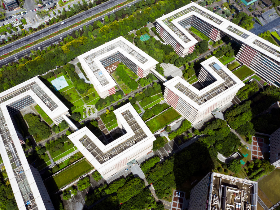 投出个好球,投出个未来小说