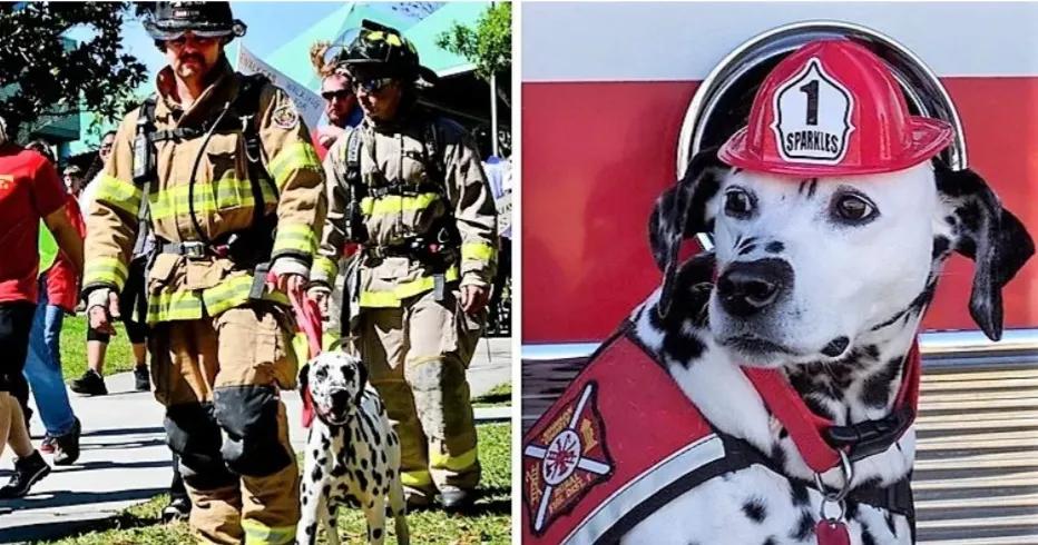 上帝关了一扇门就会打开一扇窗,上帝关闭了一扇窗为你打开一扇门