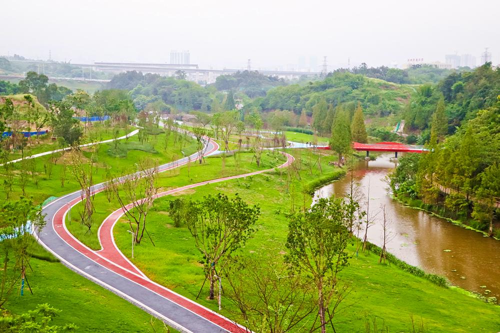 泸州新建的足球场有哪些,泸州大型公园