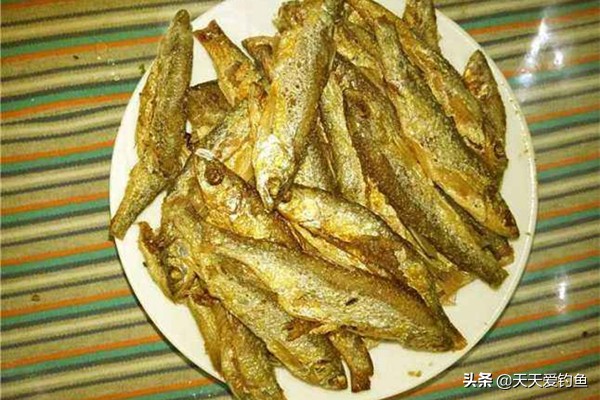 狂拉白条，就是这几招，根本停不下来