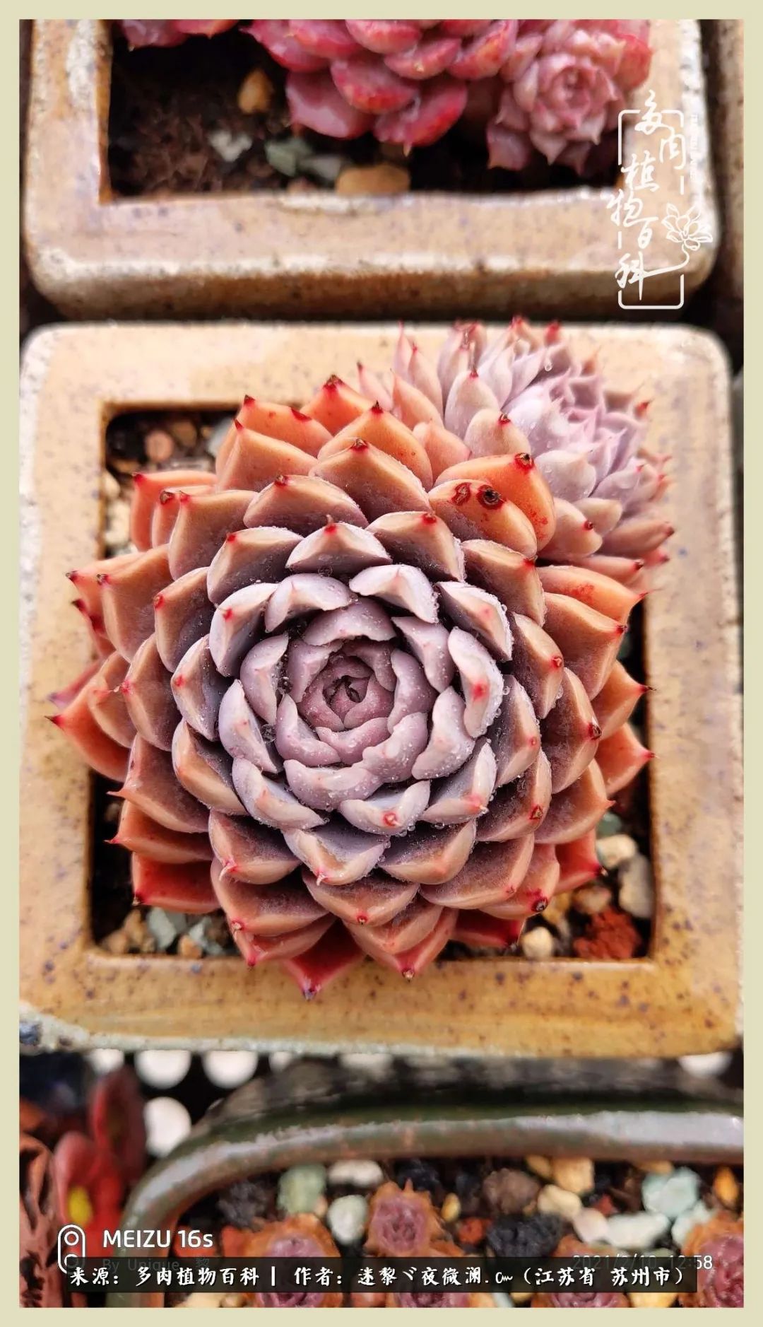 秋尽冬来岁月不居时节如流,岁月不居时节如流水