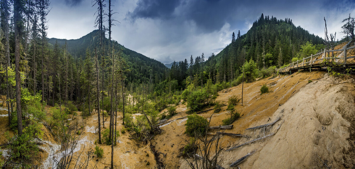 川西看彩林,川西自驾游看彩林攻略