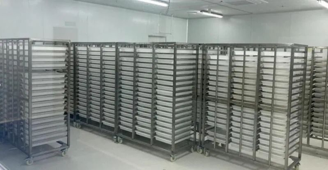 基因蚊,基因武器消灭蚊子