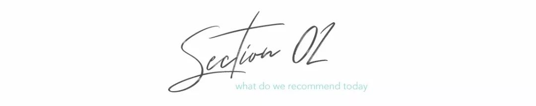 2019宠物排名,2022宠物排行榜