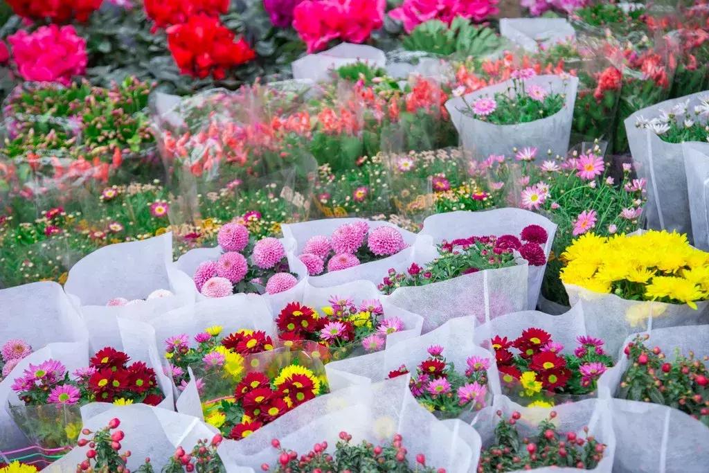 重庆的大型批发市场,最新最全重庆批发市场一览表