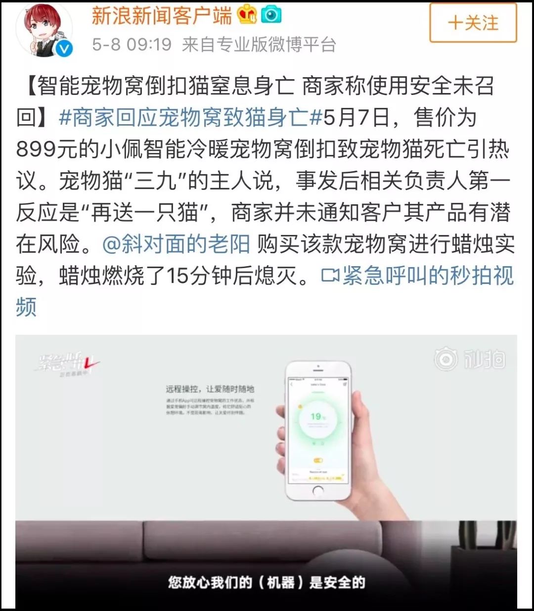 猫窝倒扣闷死猫事件,猫窝导致宠物窒息