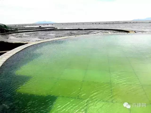 江门泡温泉1天1夜,江门温泉两天一夜攻略