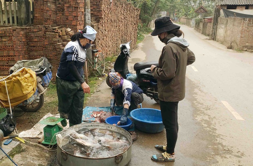 越南封城最新状况,越南人眼中的中国防疫