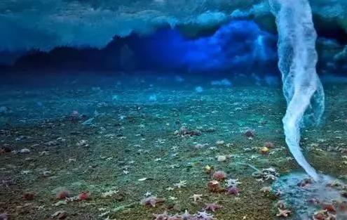 南极深海出现死亡冰柱现象,南极死亡冰柱瞬间冰冻海洋生物