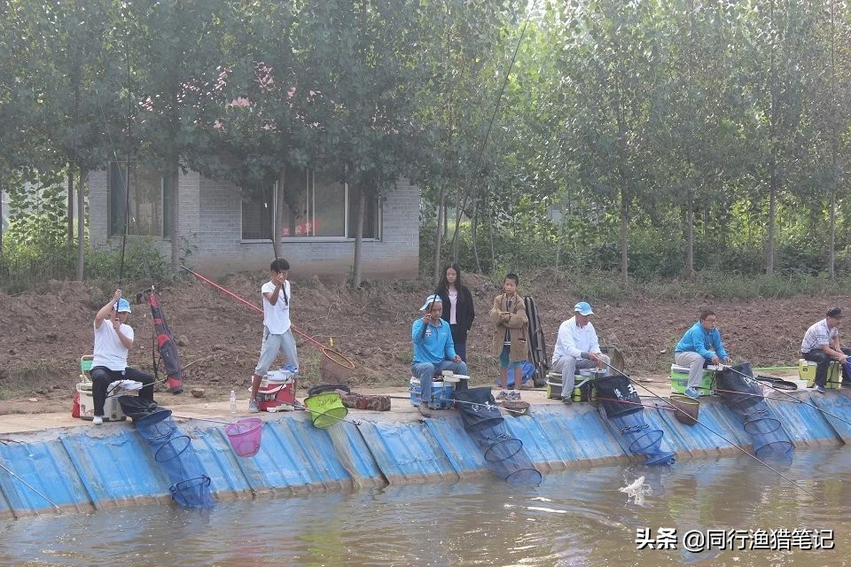 7.2米鱼竿5h28调与6h19调的区别,5h和6h鱼竿是什么意思