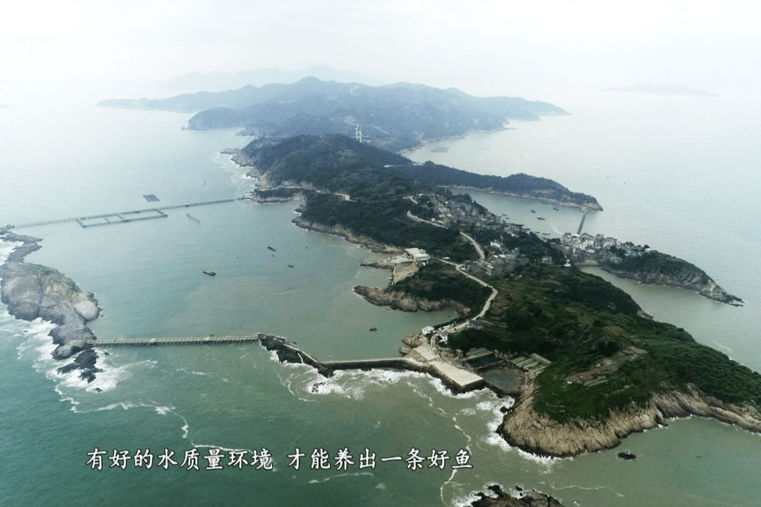 回乡创业4年开办养殖场,返乡农民工创业养鱼致富