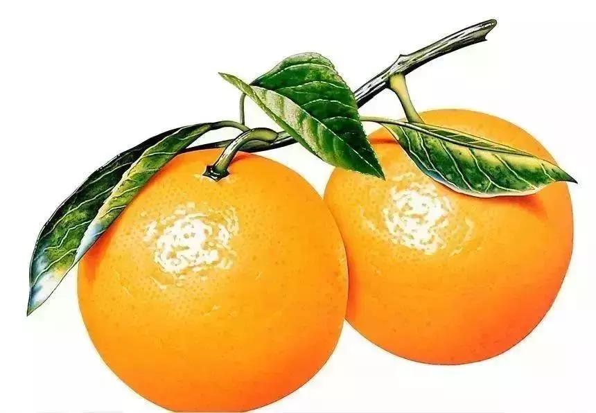 乳房按摩造成乳腺受伤,乳房按摩的不良后果