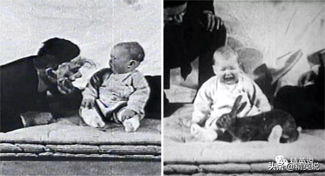 拿自己女儿做实验30年，这位匈牙利父亲培养出了神童三姐妹