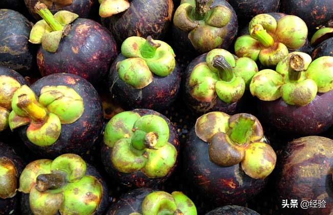 山竹里面的核能吃吗,山竹皮的功效与作用