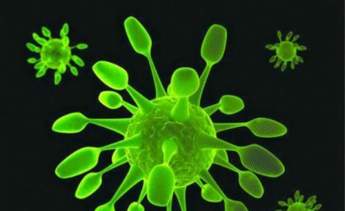 中药抗病毒药物有哪些,抗病毒药物研究方案