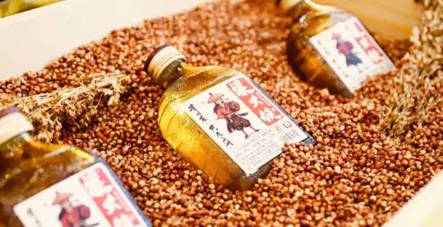 创始人严禁设招商部,为什么这瓶江湖小酒却半年铺满10万个网点?