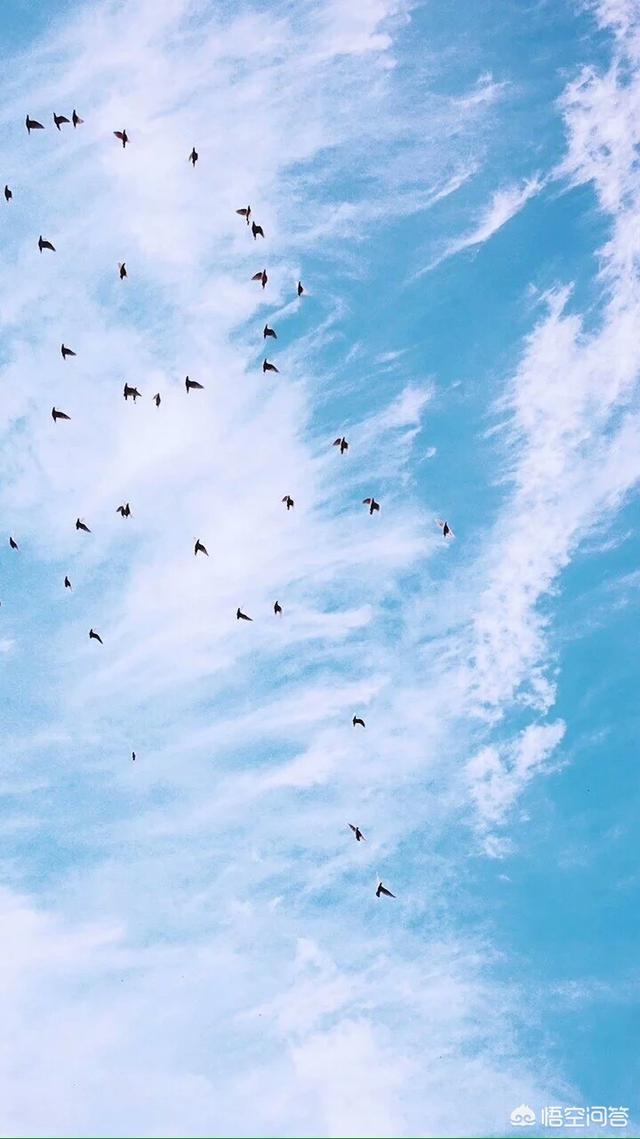 每个人网名都藏着一段故事,每一个昵称都有一个故事