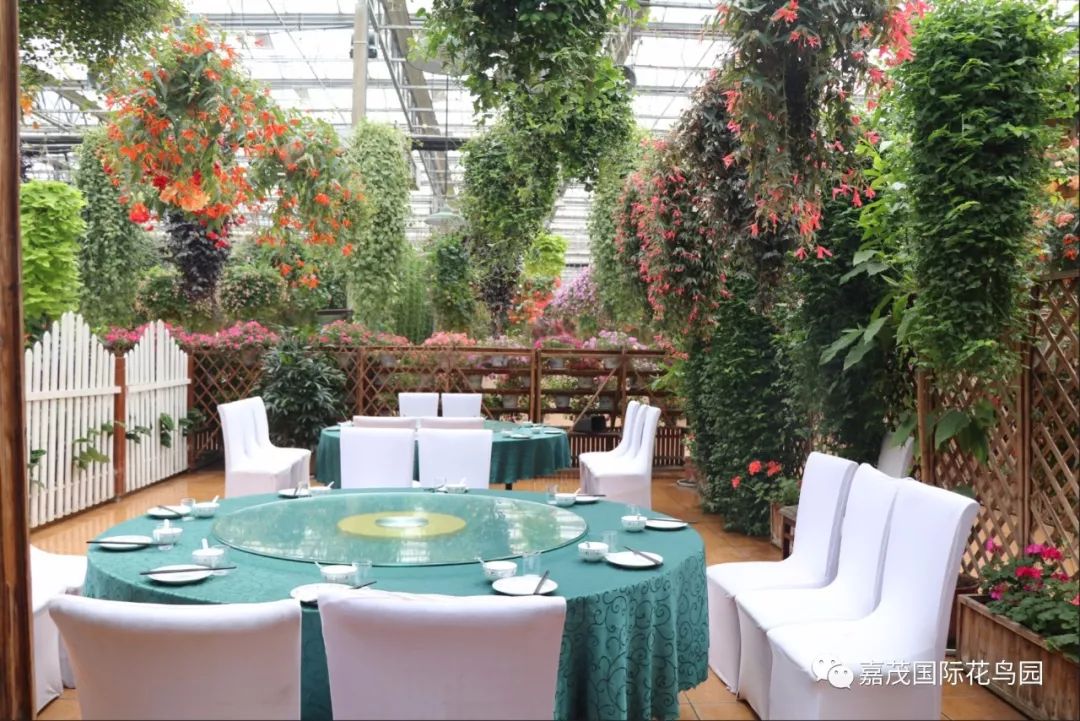 江阴嘉茂国际花鸟园,江阴嘉茂国际花鸟园什么时候再开