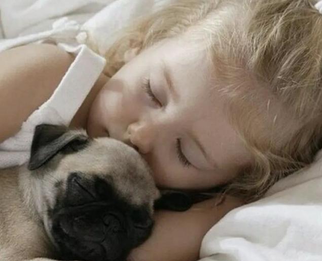 如何让宝宝摆脱睡觉依赖,宝宝睡觉非要睡妈妈的枕头