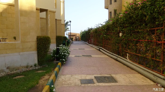 埃及10日游旅游攻略图,埃及六日游路线攻略图高清