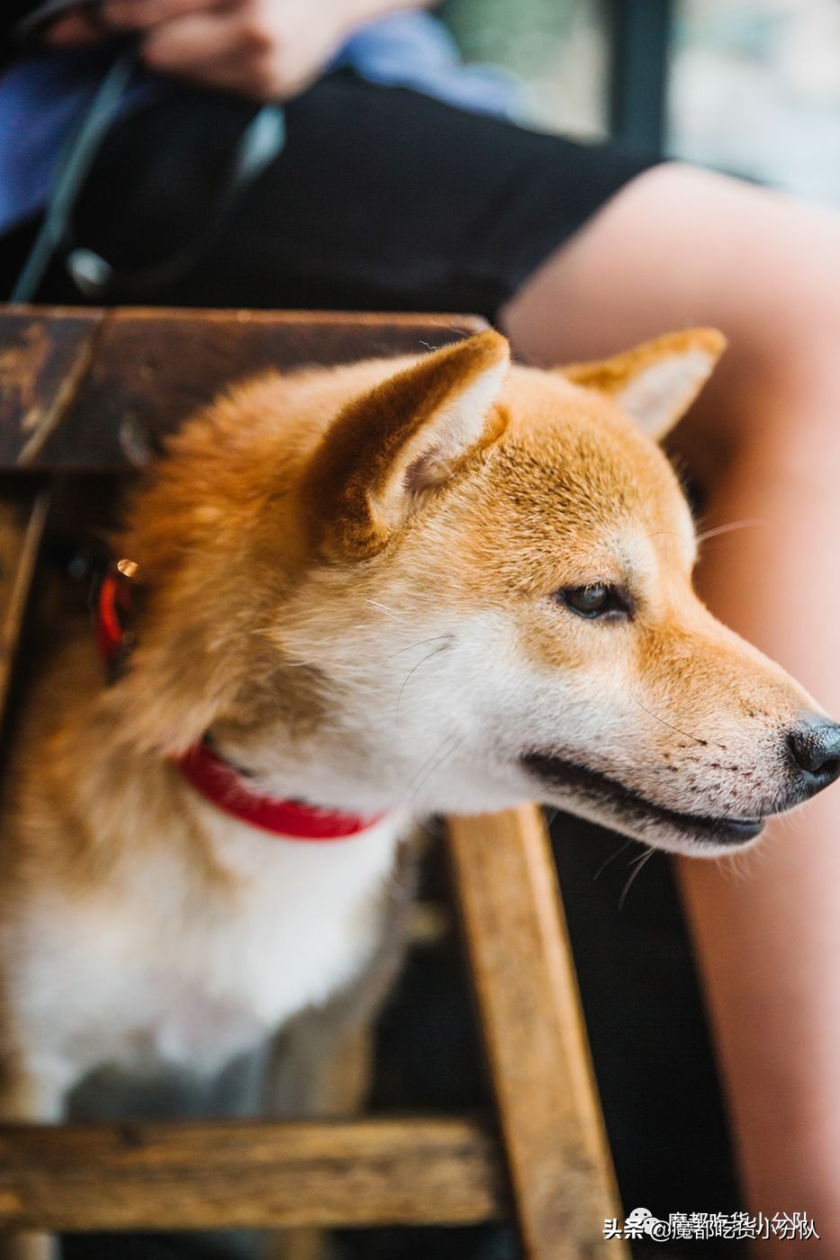 高考择校tips,高考择校指导985211