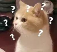 目前什么工作在香港最吃香,去香港打工什么工作最赚钱