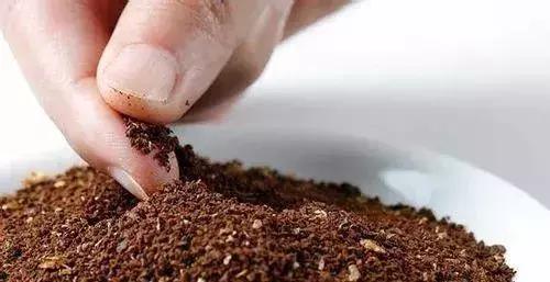 手冲咖啡萃取的原理,意式咖啡萃取标准量