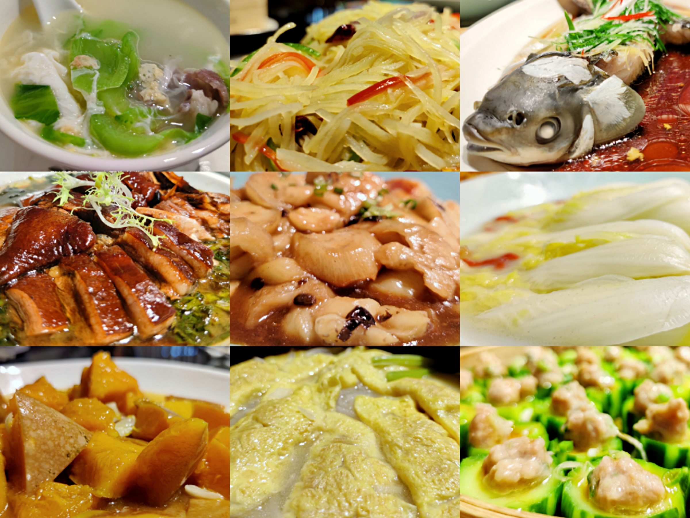 白水寨森林海乐园有什么玩的,白水寨附近免费景点