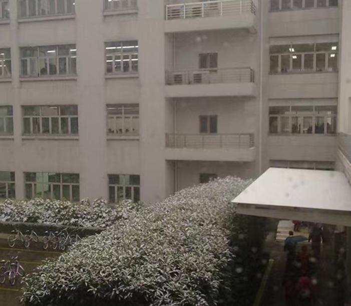 18岁妙龄少女车祸高位截瘫,车祸高位截瘫奇迹存活19年