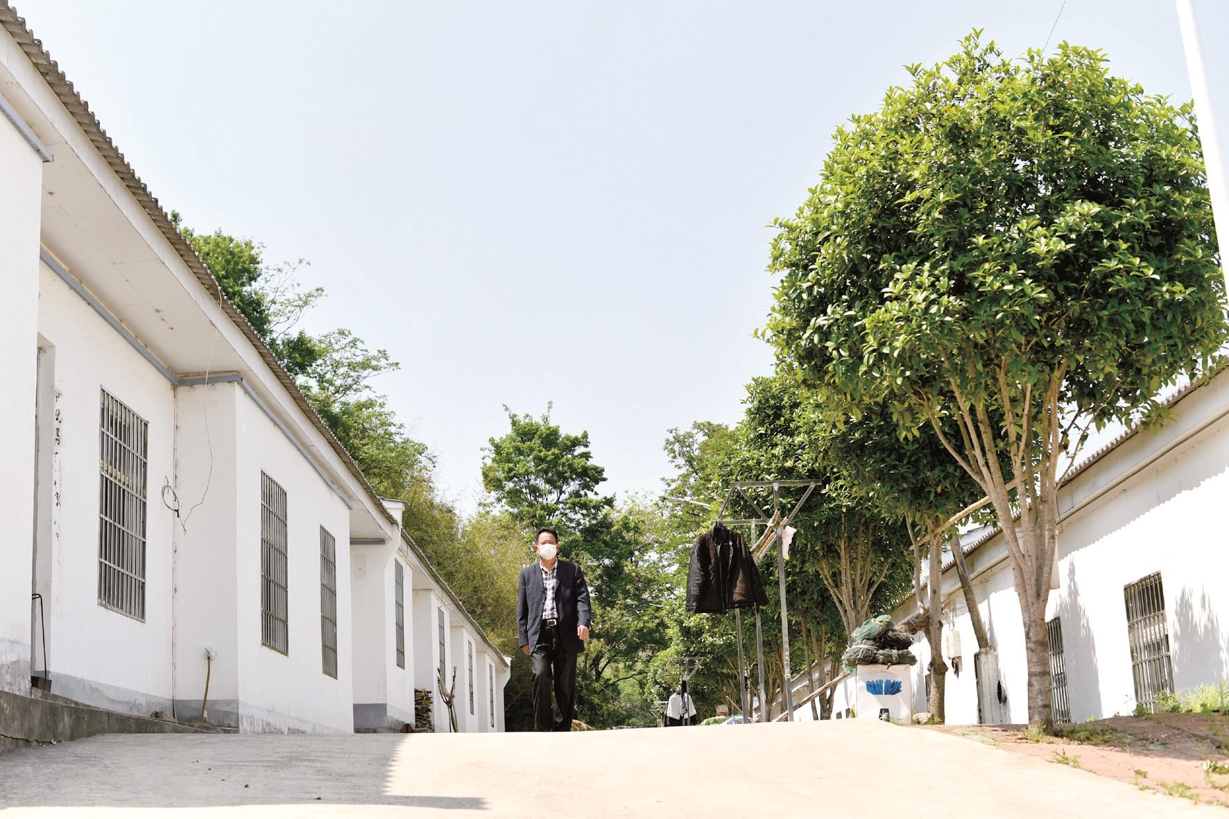 凝聚磅礴力量决胜全面小康,凝心聚力建小康