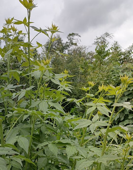 孩子吃不了学习的苦就吃生活的苦,孩子吃不了苦学习没劲头怎么办