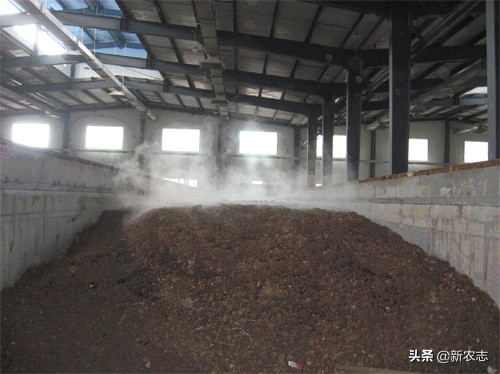 靠鸡粪年入百万,收集粪便一年能赚200万