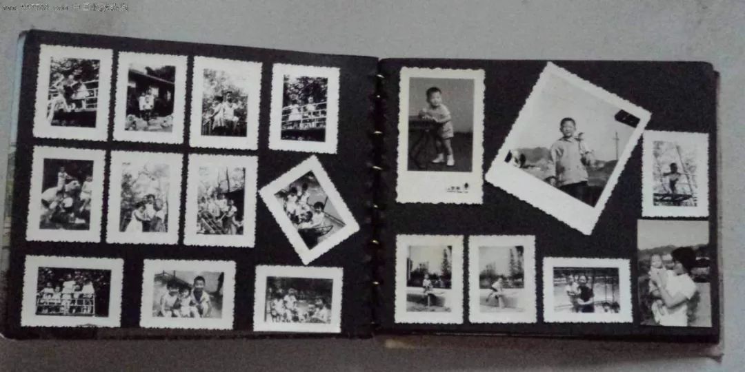 照片扫描成电子版照片有什么软件,照片扫描成word免费软件