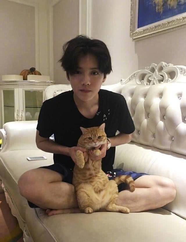 男明星为何喜欢养猫,为什么都说男生不能养猫