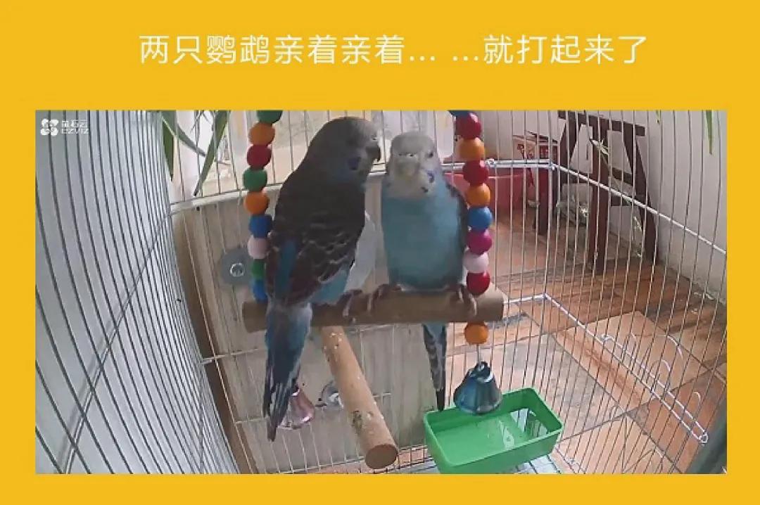 躺着能看到世界,躺着看世界的视频