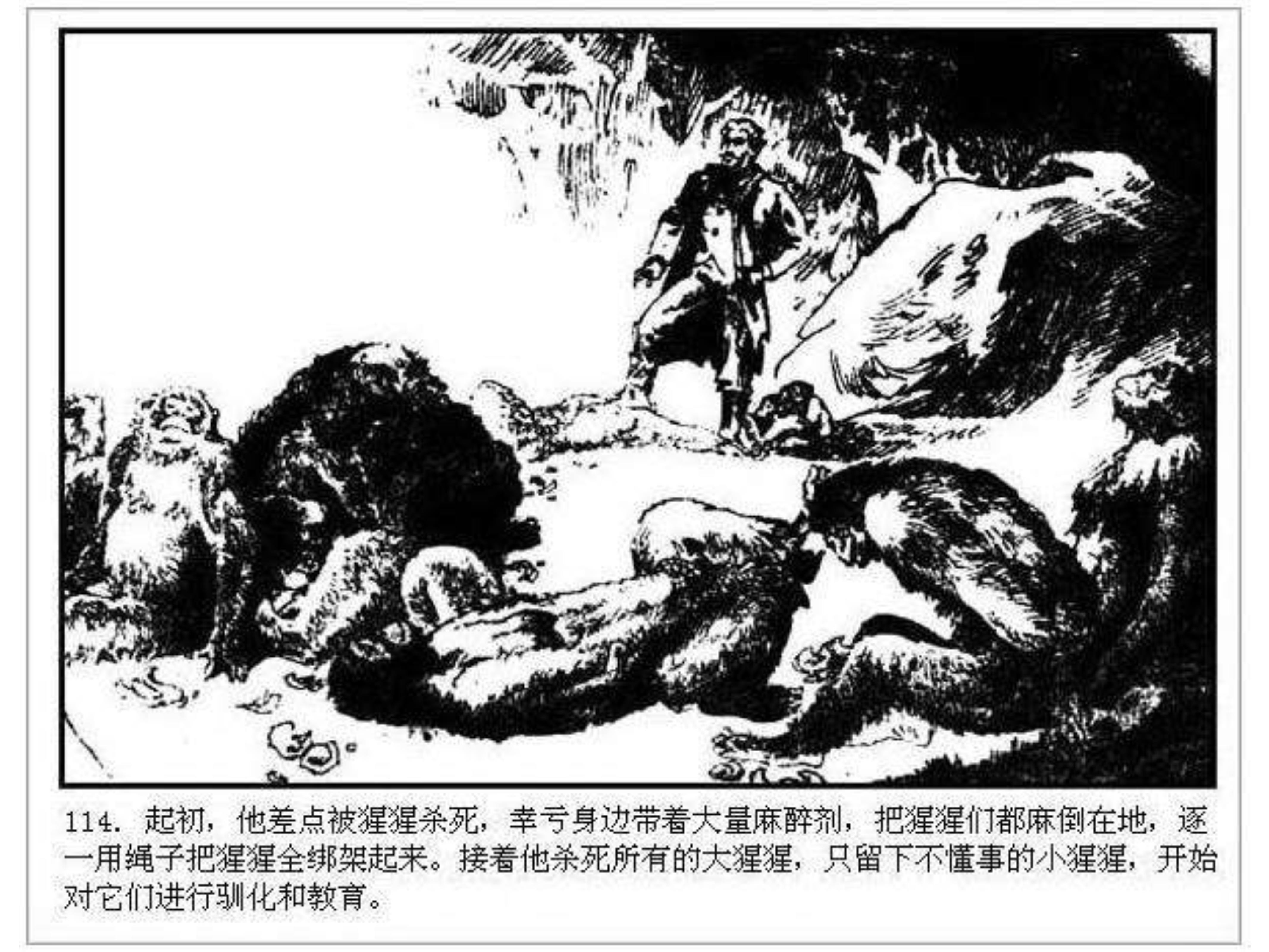 人猿泰山之英雄归来书,连环画泰山