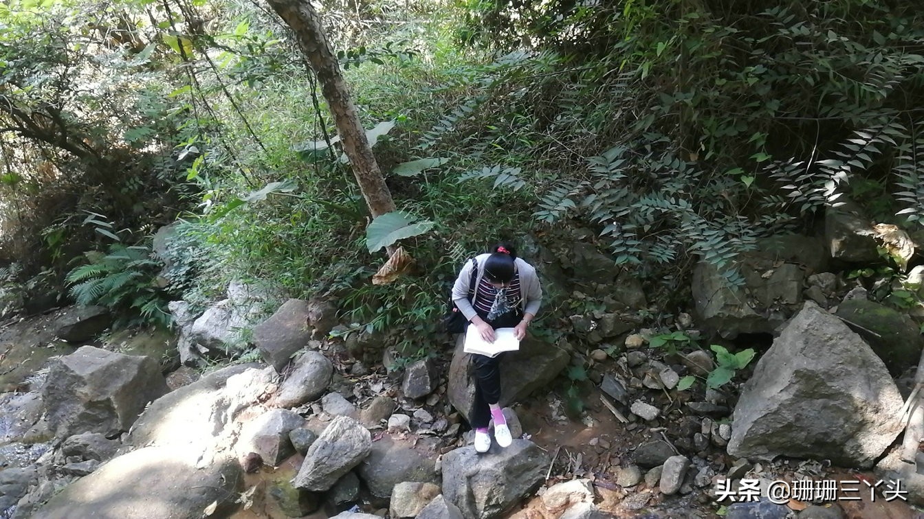 广州有座山,广州有和武功山差不多的山