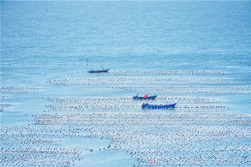 嵊泗旅游美食攻略,嵊泗攻略3天2夜美食推荐