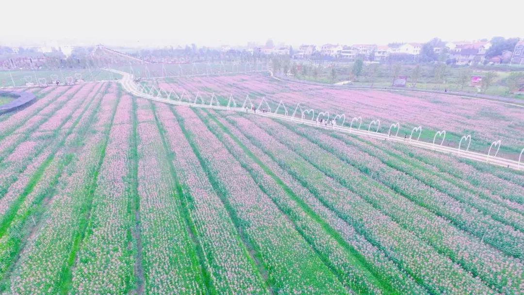 常德国庆去哪旅游比较好,中秋去哪