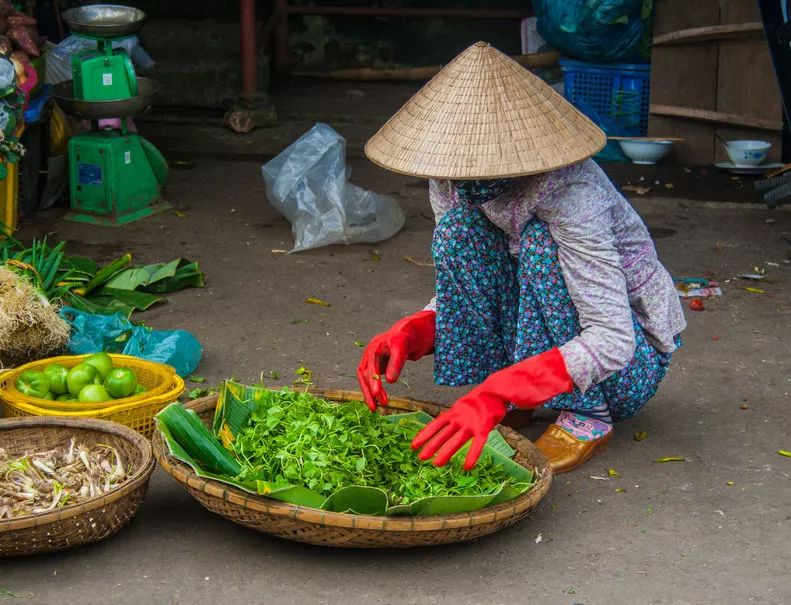 带你看越南不一样的风情,越南独特的风情