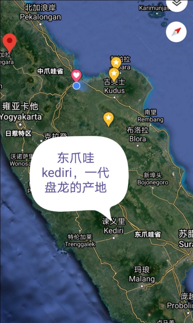 印尼金刚菩提是落地红吗,金刚菩提印尼跟尼泊尔