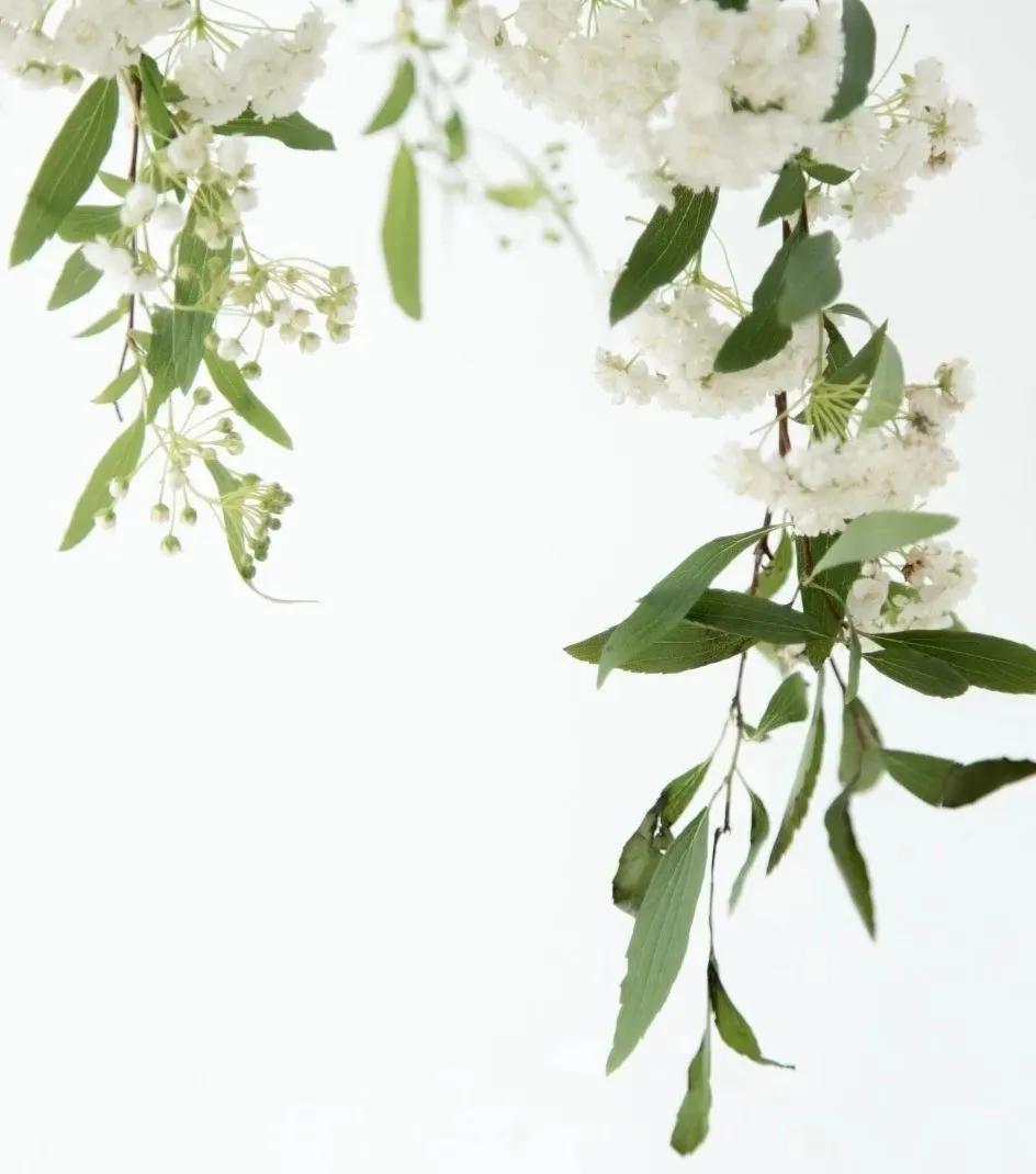 芜湖探店：小意达的花园——让鲜花芬芳你生活的每一个角落