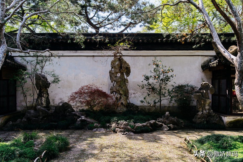 拙政园最让人欣赏的地方,拙政园十大特色