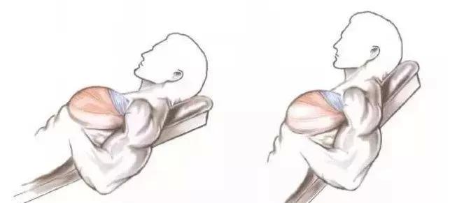 撸铁教程初级练胸,纯新手小白如何练胸