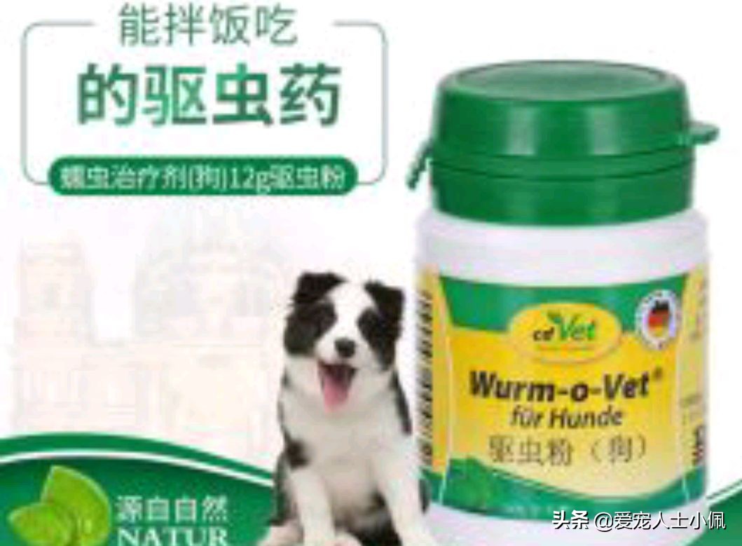 养狗需要具备哪些条件,养狗需要哪些条件